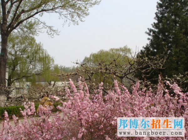 山東師范大學(xué)春臨山師7089
