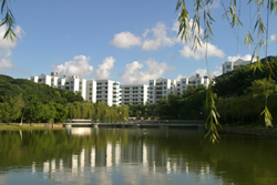 深圳職業(yè)技術學院校園一角12929