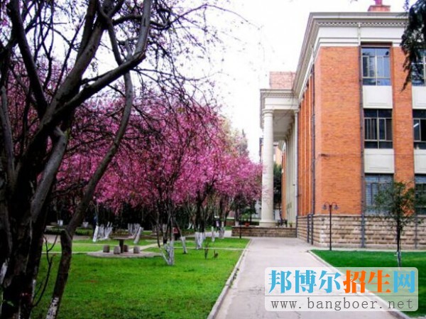 學(xué)校13