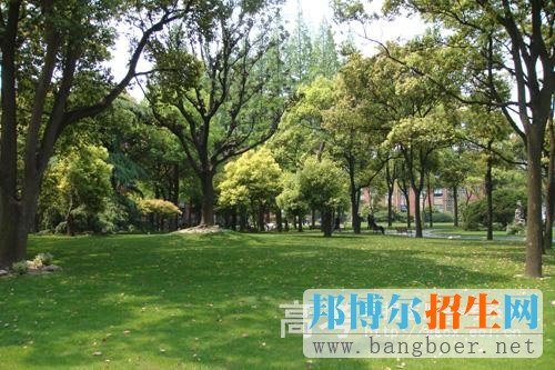 上海應(yīng)用技術(shù)學(xué)院泰爾弗國(guó)際商學(xué)院校園風(fēng)景之草坪1187