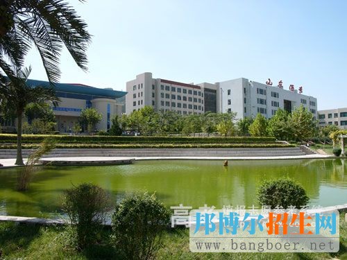 山東醫(yī)學(xué)高等?？茖W(xué)校校園一角7595