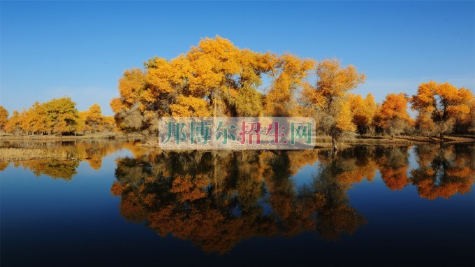 阿克蘇職業(yè)技術學院宿舍條件