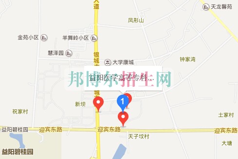 益陽醫(yī)學高等?？茖W校