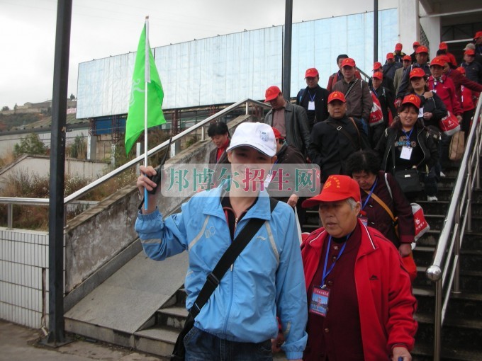 導(dǎo)游好嗎