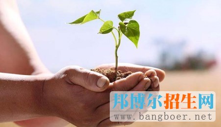 重慶高考2017年7門(mén)學(xué)科考試內(nèi)容有調(diào)整