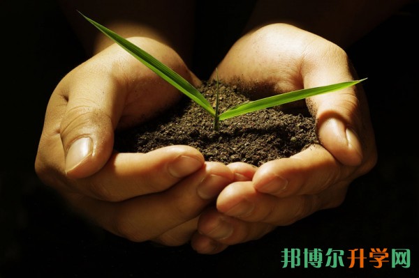 高考是先報志愿還是先出分數(shù)線