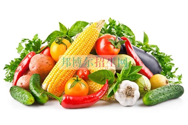 成都有哪些烹飪工藝與營(yíng)養(yǎng)學(xué)校