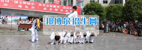 廣安市康泉文武學校李康泉講武術與藝術