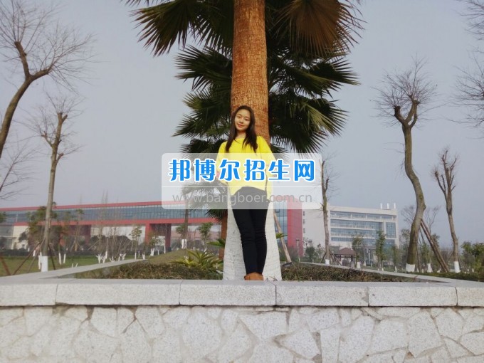 川南幼兒師范高等?？茖W校光榮榜