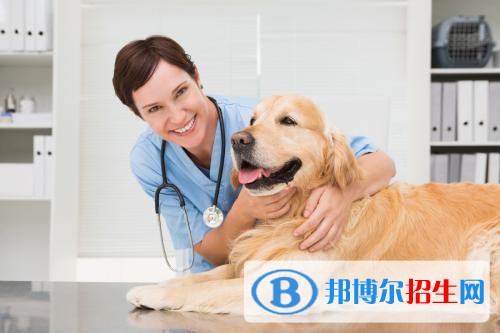 大名職教中心有哪些專(zhuān)業(yè)