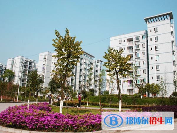 重慶師范大學(xué)涉外商貿(mào)學(xué)院單招報(bào)名條件