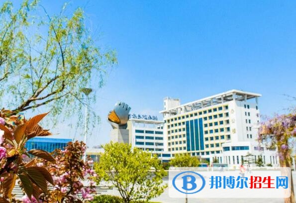 煙臺(tái)汽車工程職業(yè)學(xué)院?jiǎn)握袌?bào)名條件