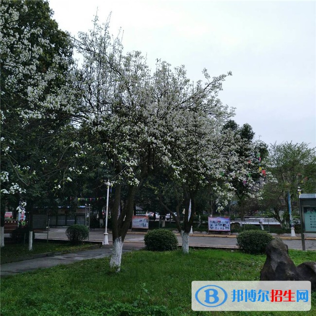 綿陽(yáng)讀什么中專學(xué)校好