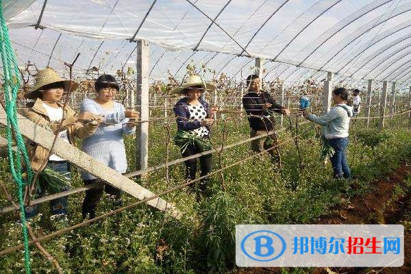 紅河什么是中專學(xué)校