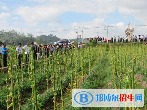 楚雄沒有高中畢業(yè)證可以讀中專學校嗎