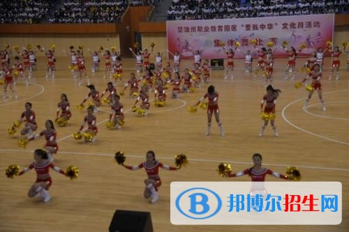 楚雄讀中專學(xué)?？梢钥即髮W(xué)嗎