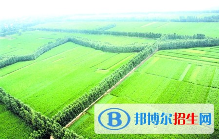 紅河初中畢業(yè)上中專學校學什么專業(yè)好