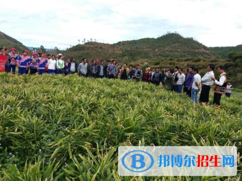 楚雄初中畢業(yè)能上中專學校嗎