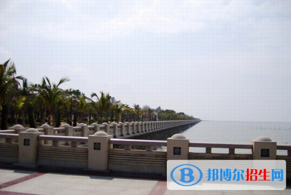 皖北衛(wèi)生職業(yè)學(xué)院單招報名時間