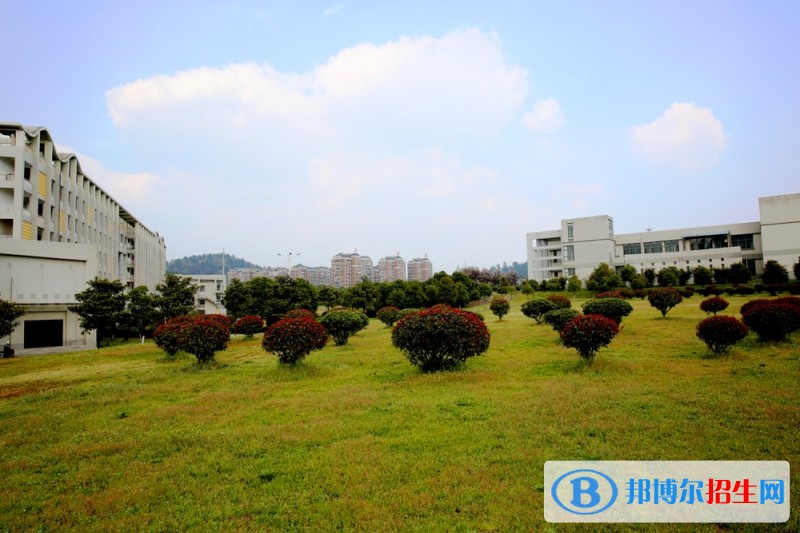 馬鞍山職業(yè)技術學院2019年單招錄取分數線