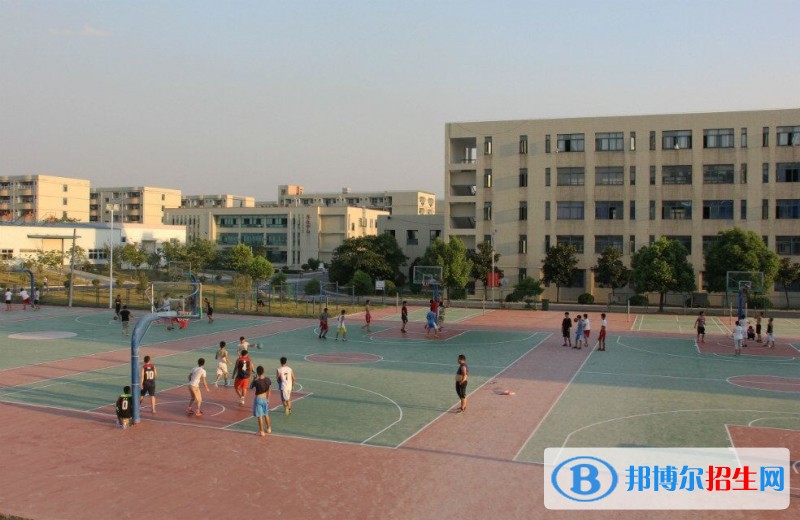 合肥共達(dá)職業(yè)技術(shù)學(xué)院單招報(bào)名條件