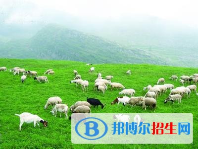 紅河中專學校讀什么專業(yè)好