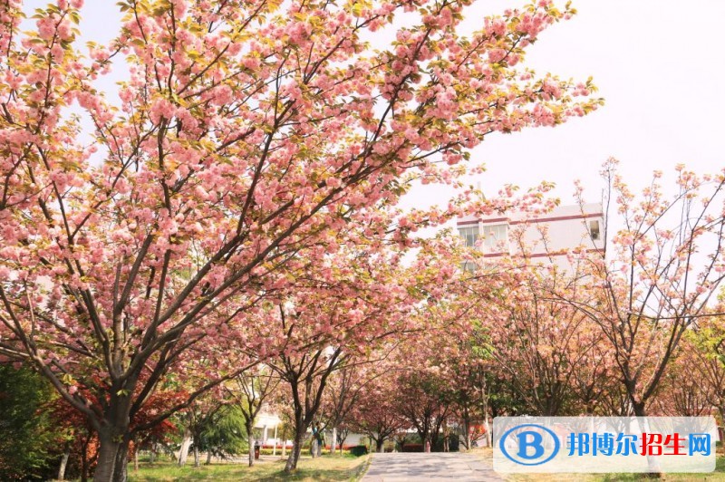 安徽國防科技職業(yè)學(xué)院單招簡章