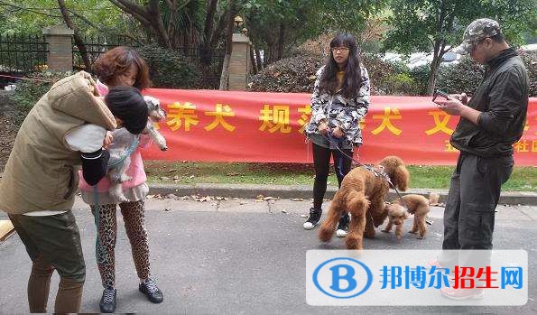 六盤水中專學(xué)校有哪些專業(yè)比較好