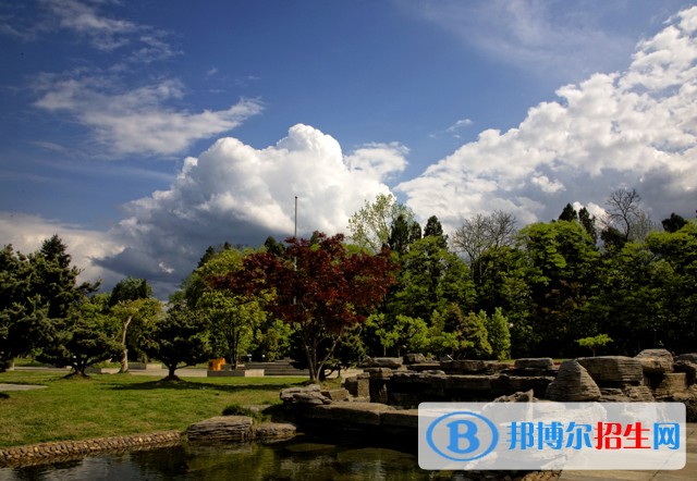 麗水職業(yè)技術(shù)學(xué)院2019年單招錄取分數(shù)線