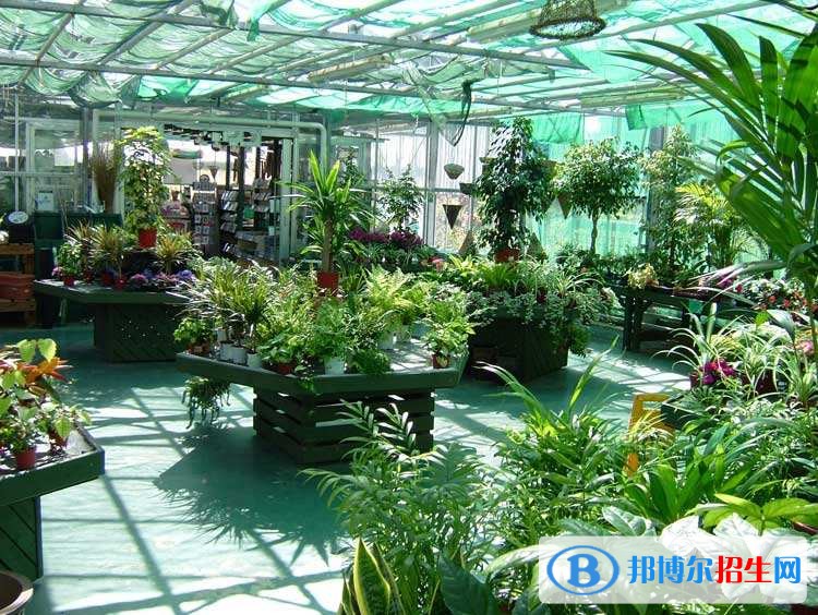 六盤水中專學校都能學什么