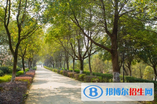江西楓林涉外經(jīng)貿(mào)職業(yè)學(xué)院單招簡章