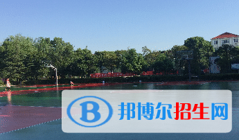 江西楓林涉外經(jīng)貿(mào)職業(yè)學(xué)院2019年單招錄取分?jǐn)?shù)線