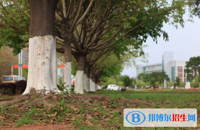 江西應(yīng)用技術(shù)職業(yè)學(xué)院單招報(bào)名時(shí)間
