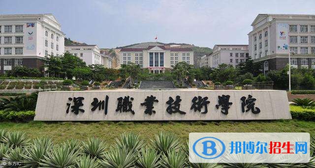 深圳職業(yè)技術(shù)學(xué)院2019年單招錄取分?jǐn)?shù)線