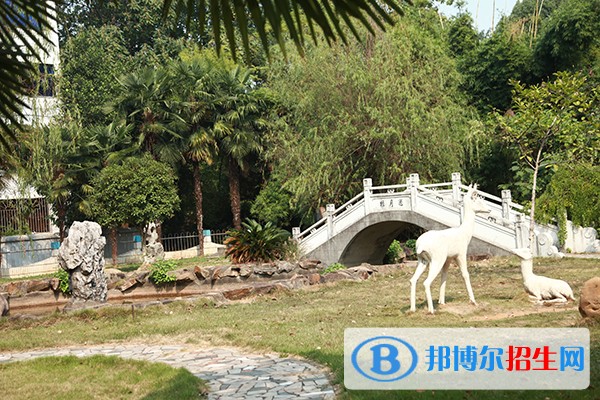 江西中醫(yī)藥高等?？茖W校2019年單招錄取分數(shù)線