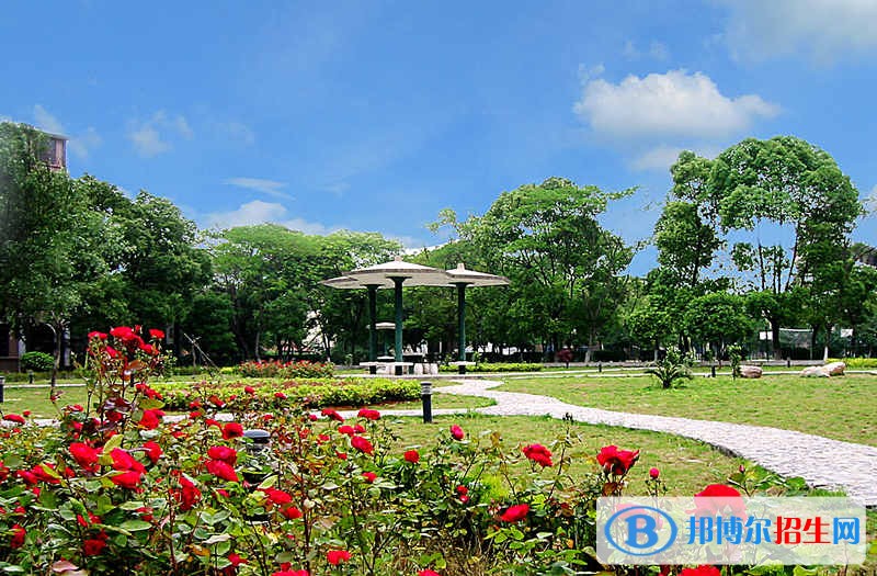 高職單獨(dú)招生報(bào)名網(wǎng)址入口