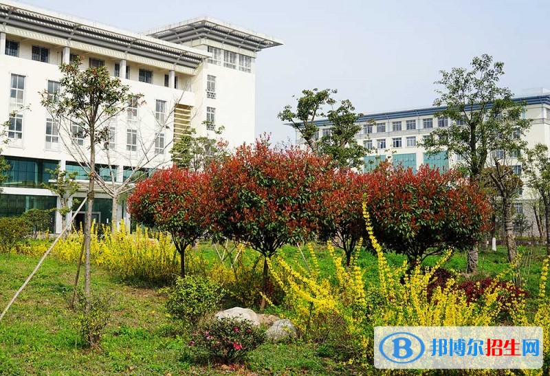 湖北中醫(yī)藥高等專科學(xué)院?jiǎn)握泻?jiǎn)章