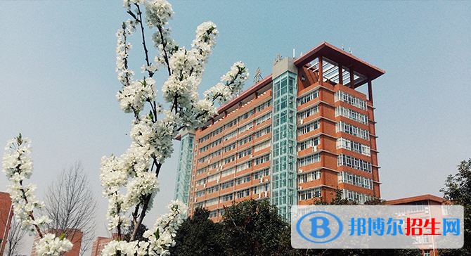 洛陽科技職業(yè)學(xué)院?jiǎn)握袌?bào)名條件