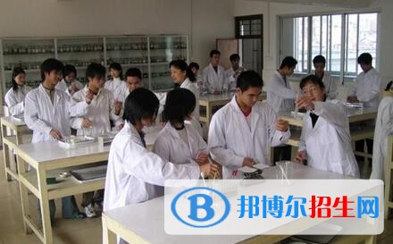 樂山中專學校有哪些專業(yè)好