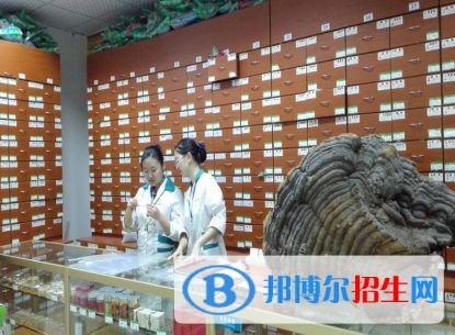 樂(lè)山去中專學(xué)校學(xué)什么專業(yè)好
