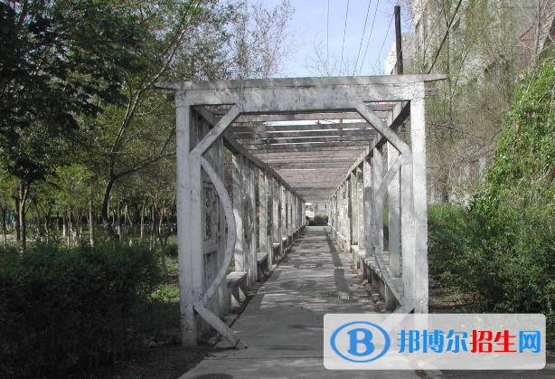 新疆天山職業(yè)技術學院單招成績查詢時間