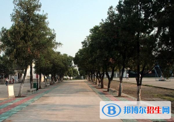 桂林山水職業(yè)學院單招成績查詢時間