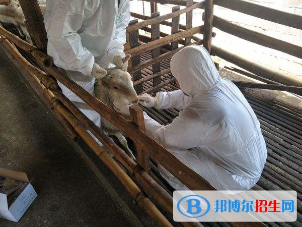 西安中專學校都能學什么