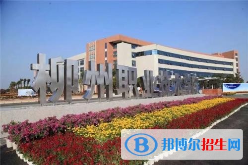 柳州職業(yè)技術(shù)學(xué)院單招2019年單獨招生成績查詢、網(wǎng)址入口