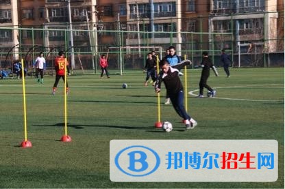 新疆體育職業(yè)技術學院單招2019年單獨招生報名條件、招生要求、招生對象