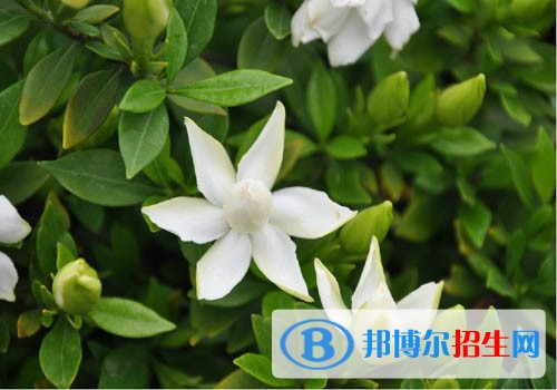 中職生怎么考的本科學校