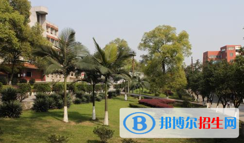 瀘州樹風職業(yè)高級中學(xué)
