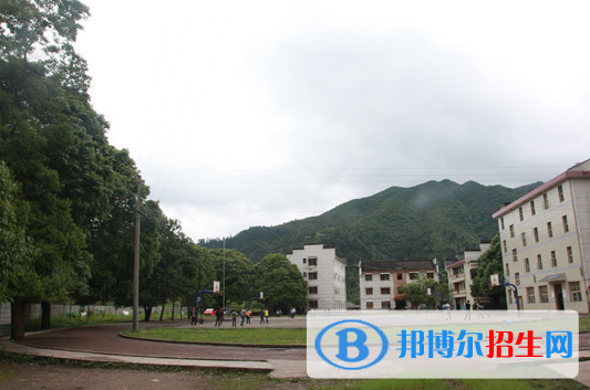 QQ截圖20191017142906