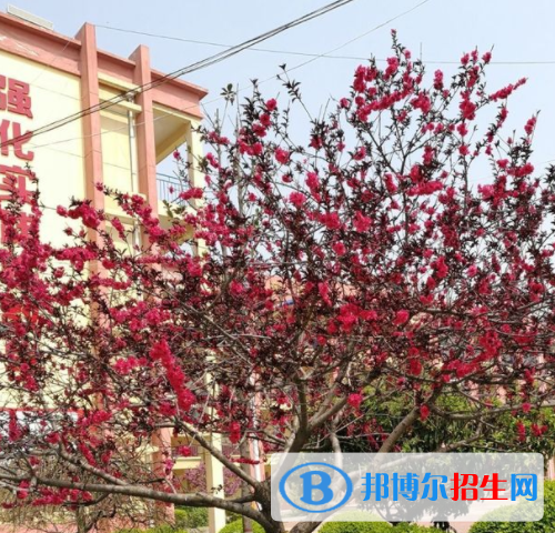 西安臨潼區(qū)職業(yè)教育中心怎么樣、好不好