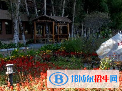 佳木斯職業(yè)學(xué)院單招2020年單獨招生報名時間、網(wǎng)址入口  